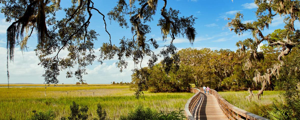 Relocating To The Golden Isles Weather Activities