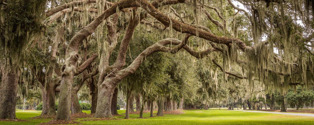 Things to Do in Each of the Golden Isles | Activities, Restaurants ...