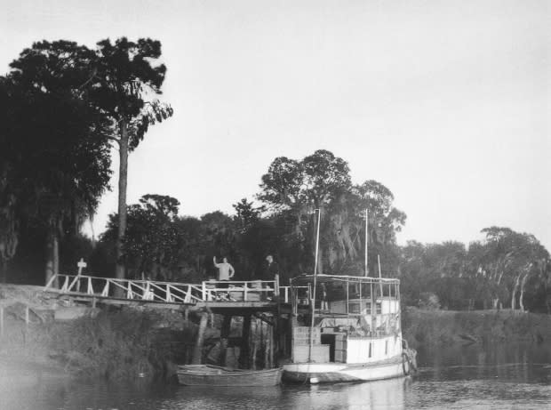 Day Trips To Little St Simons Island