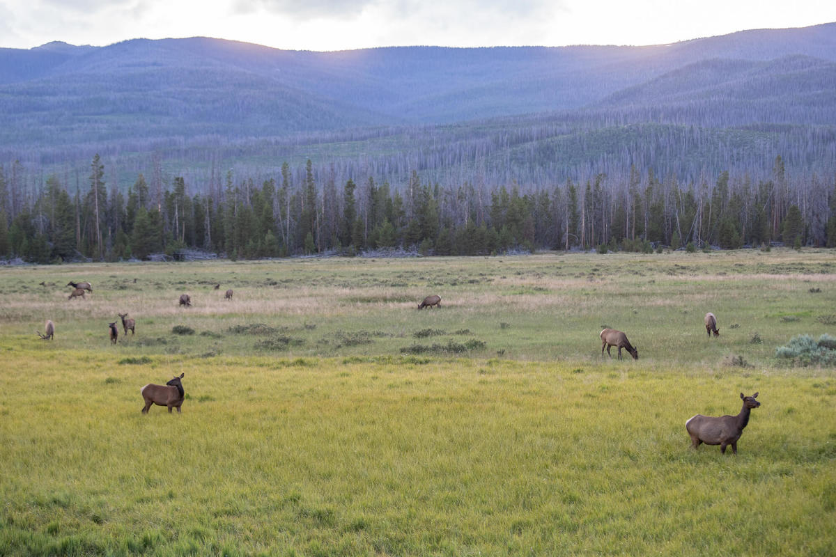 Things to Do at Rocky Mountain National Park - Destination Granby