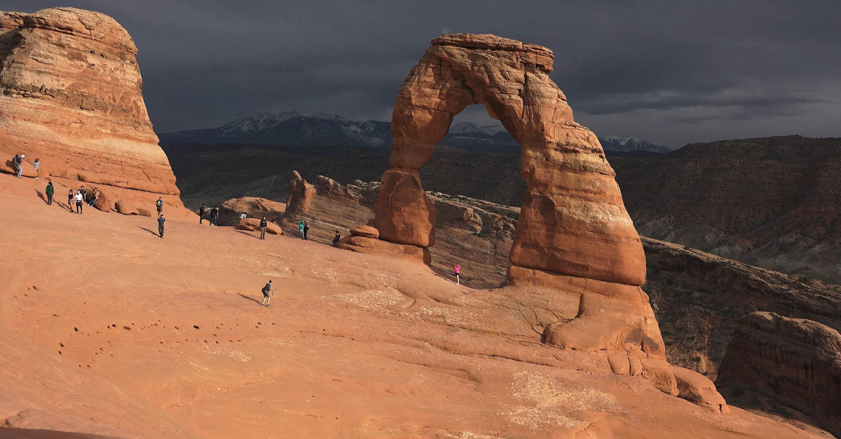 new-business-listing