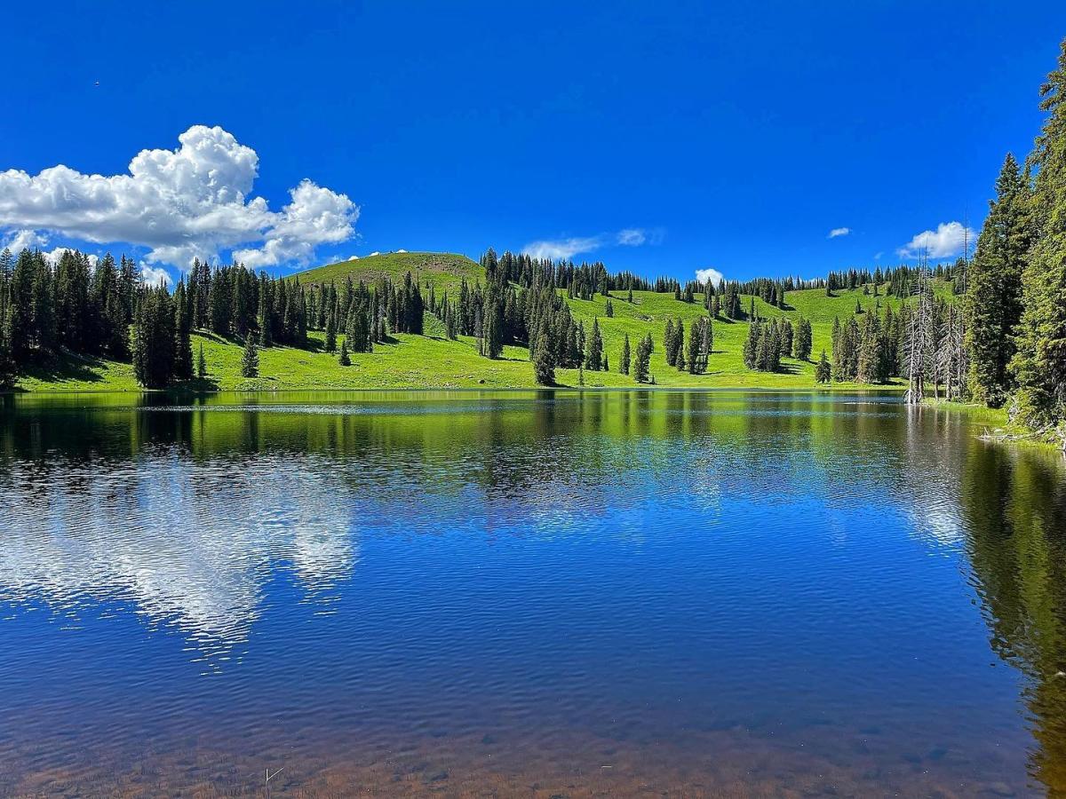 Grand Mesa Lakes Top Lakes in Grand Mesa
