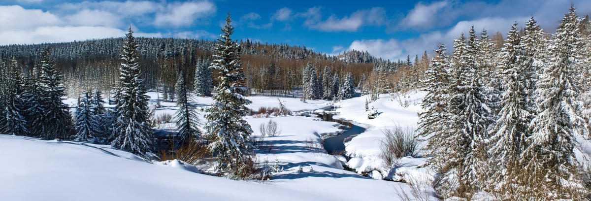 Snowshoeing in the Grand Junction Area