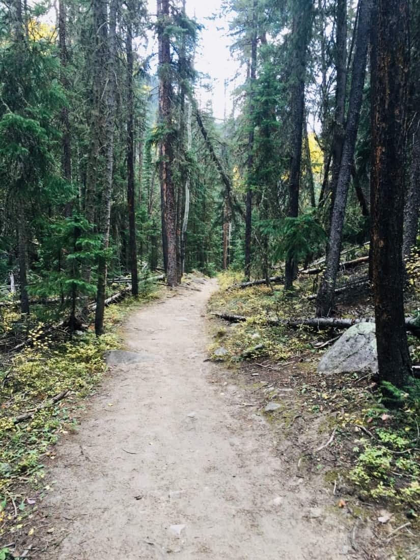 Grand Lake Cascade Falls | Scenic Colorado Hiking Trail