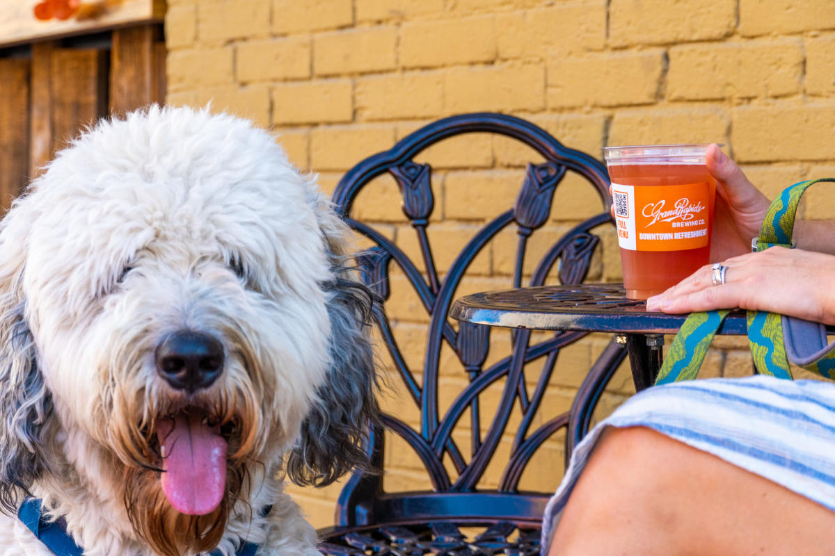 PetFriendly Hotels in Grand Rapids, MI B&Bs, Motels & Inns