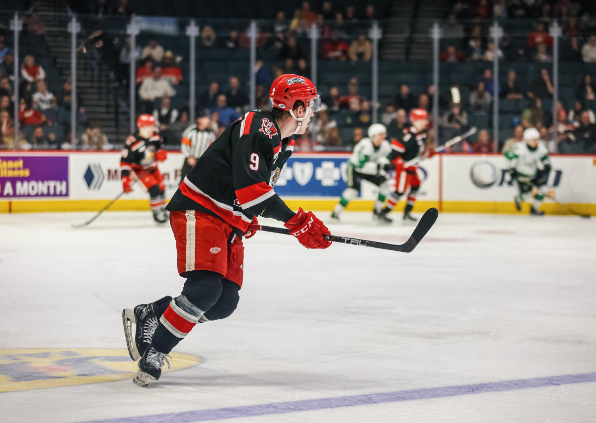 Grand Rapids Griffins | Van Andel Arena, Hockey Schedule, Tickets