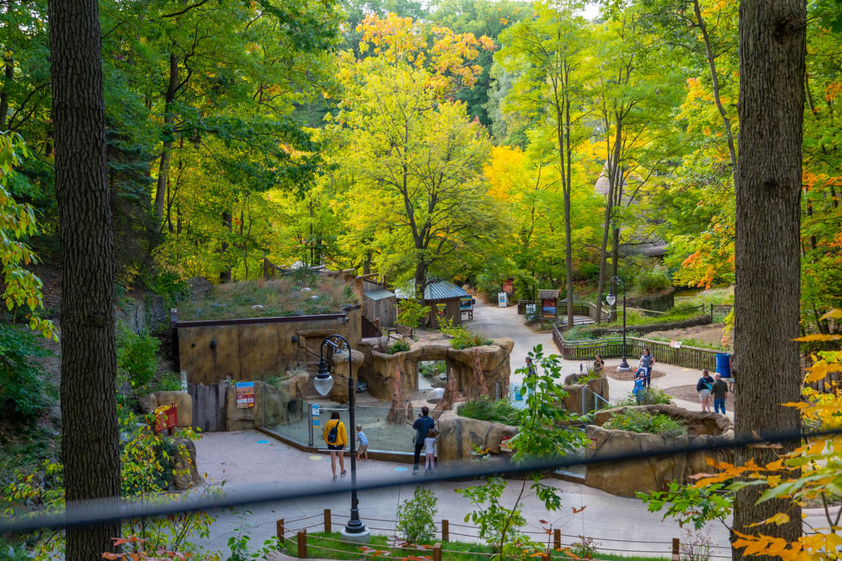 Kids Field Trip to the John Ball Zoo Attractions in Grand Rapids