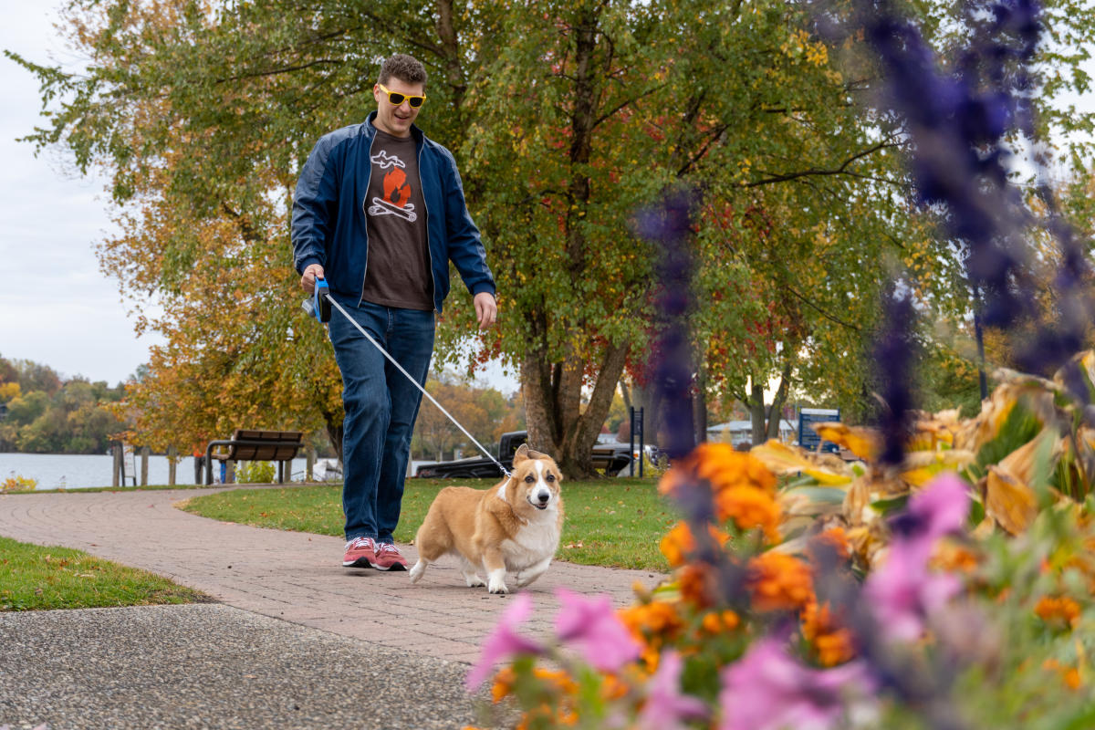 Dog walking sale locations near me