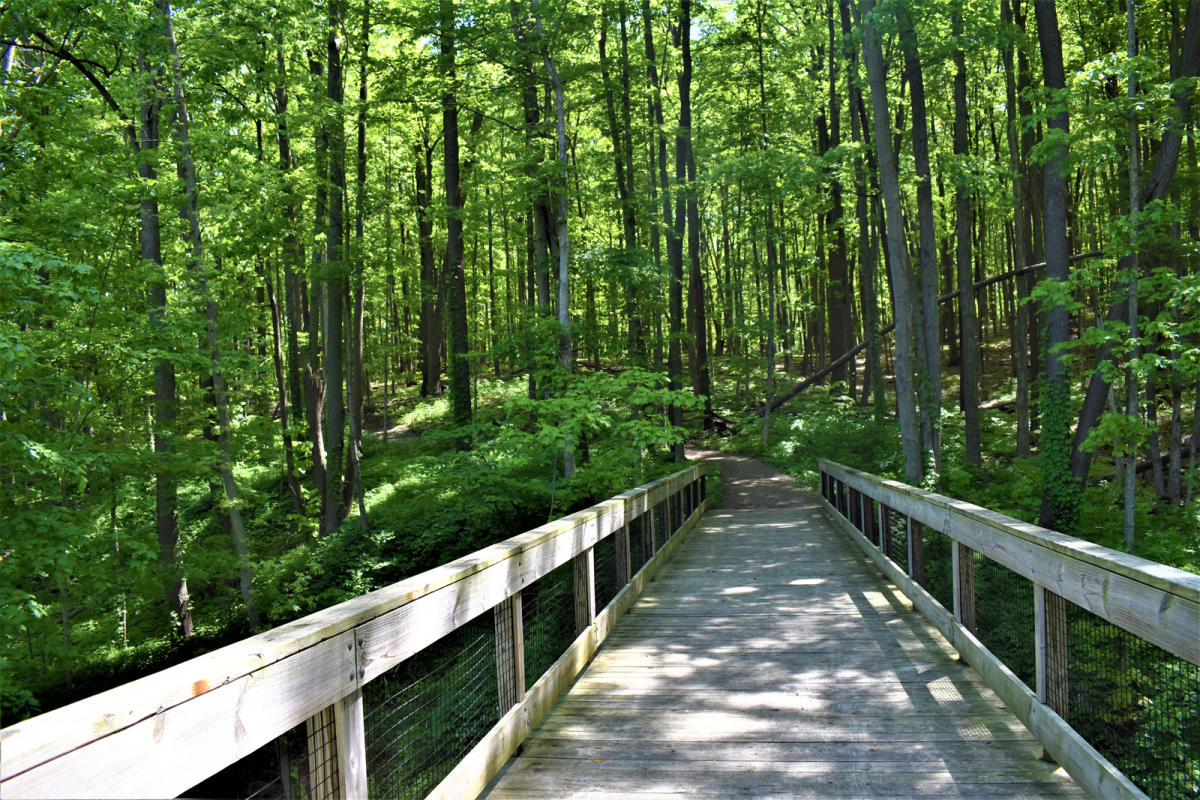 West Michigan Parks Grand Rapids Attractions