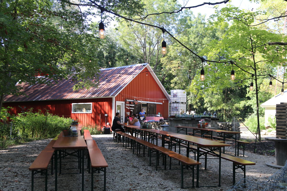 Where to Taste Local Ciders in Grand Rapids Fall Things to Do