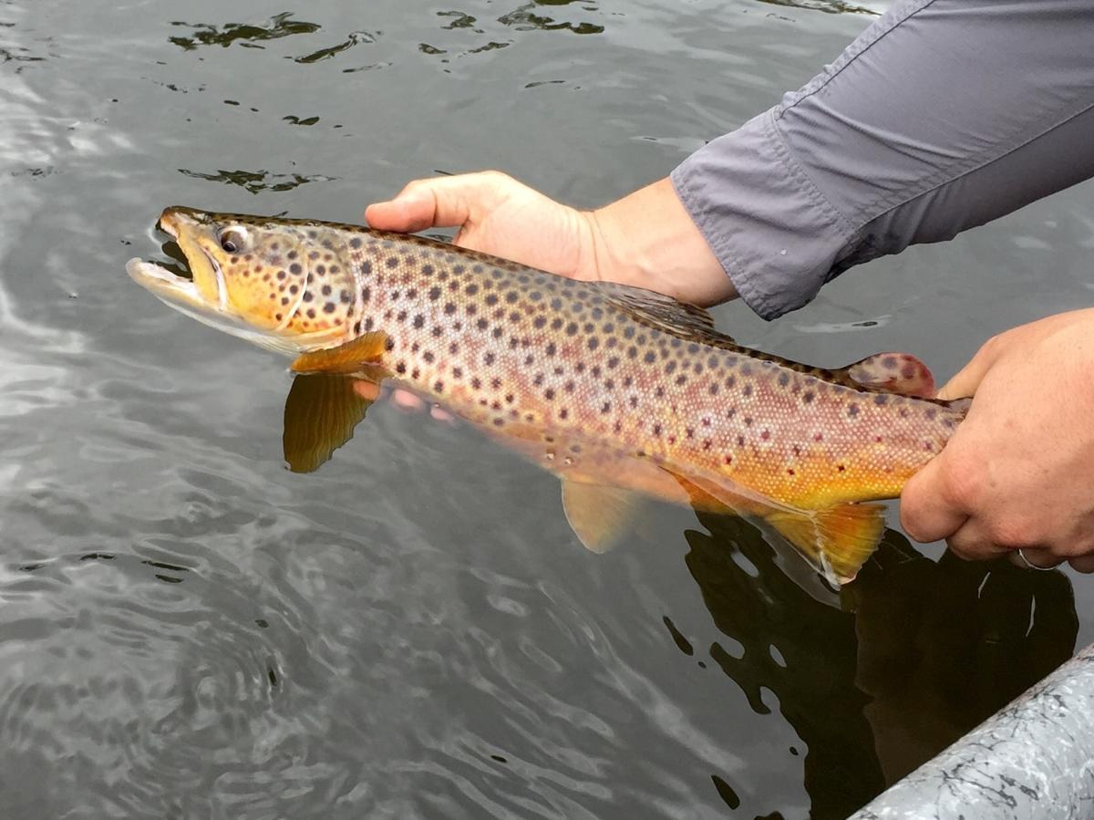 12 Best Places to Fly Fish in Michigan: Maps Included - Guide