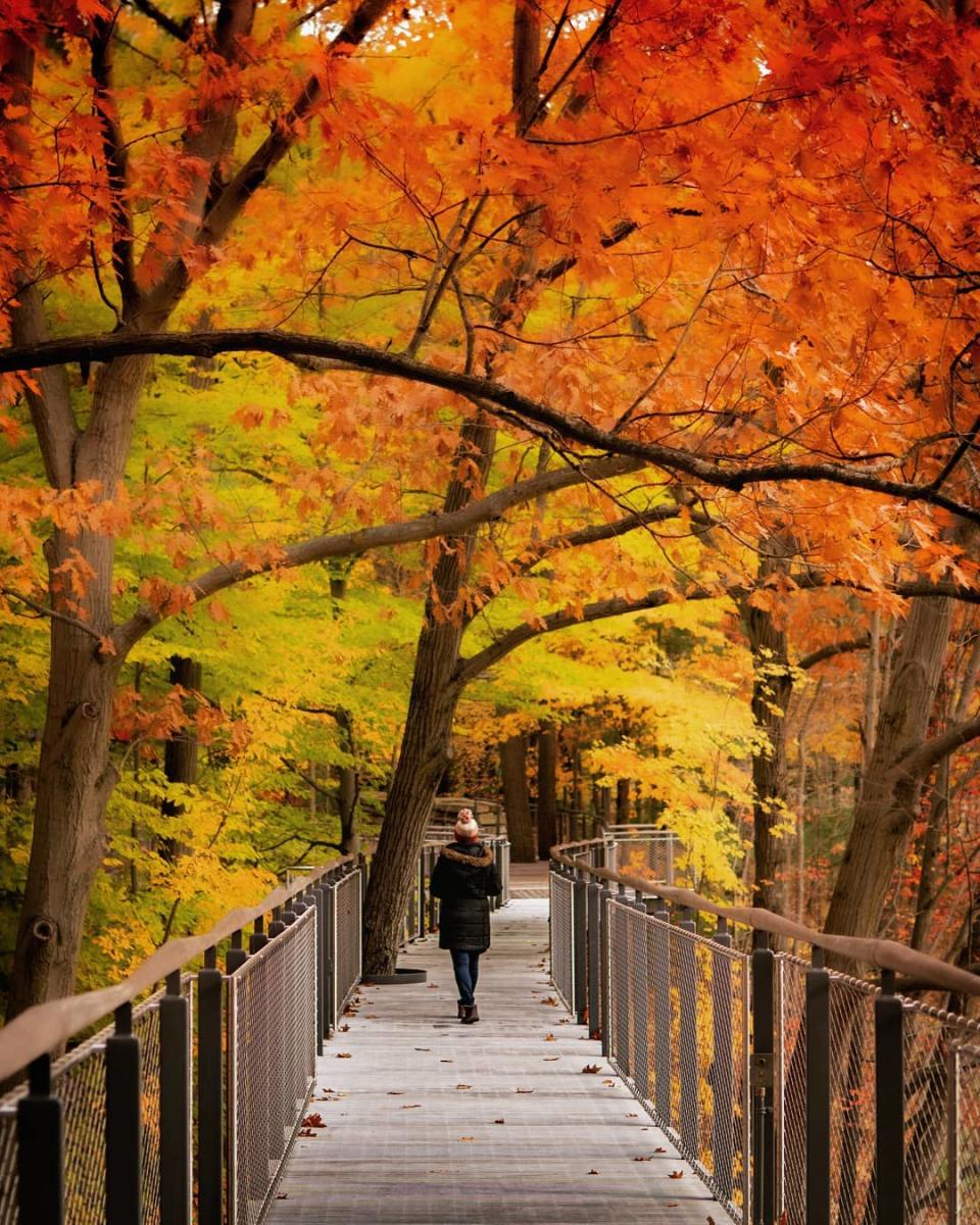 michigan places to visit fall