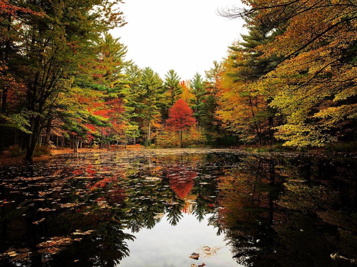 Fall Colors In Michigan S Great Lakes Bay Autumn Foliage
