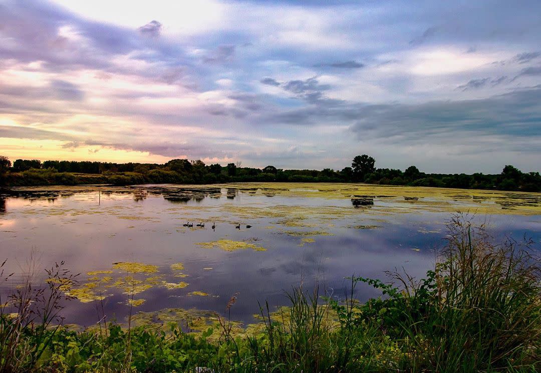 Discover the Top Things to Do in Saginaw, Michigan