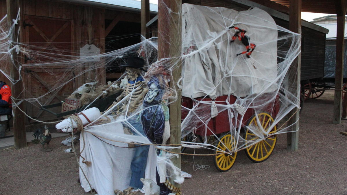 Fall Activities in Greeley, Colorado: Your Ultimate Guide to Fall Fun