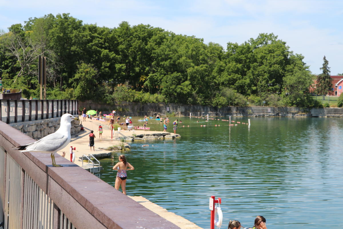 Beaches Discover Green Bay