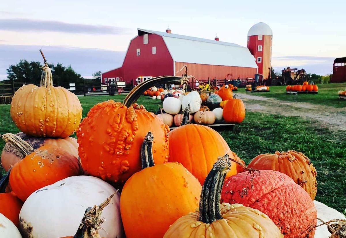 pumpkin patch bartlesville ok