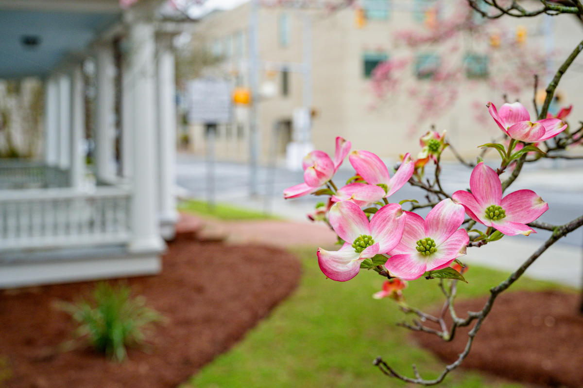 Cities & Towns - Visit Greenville, NC