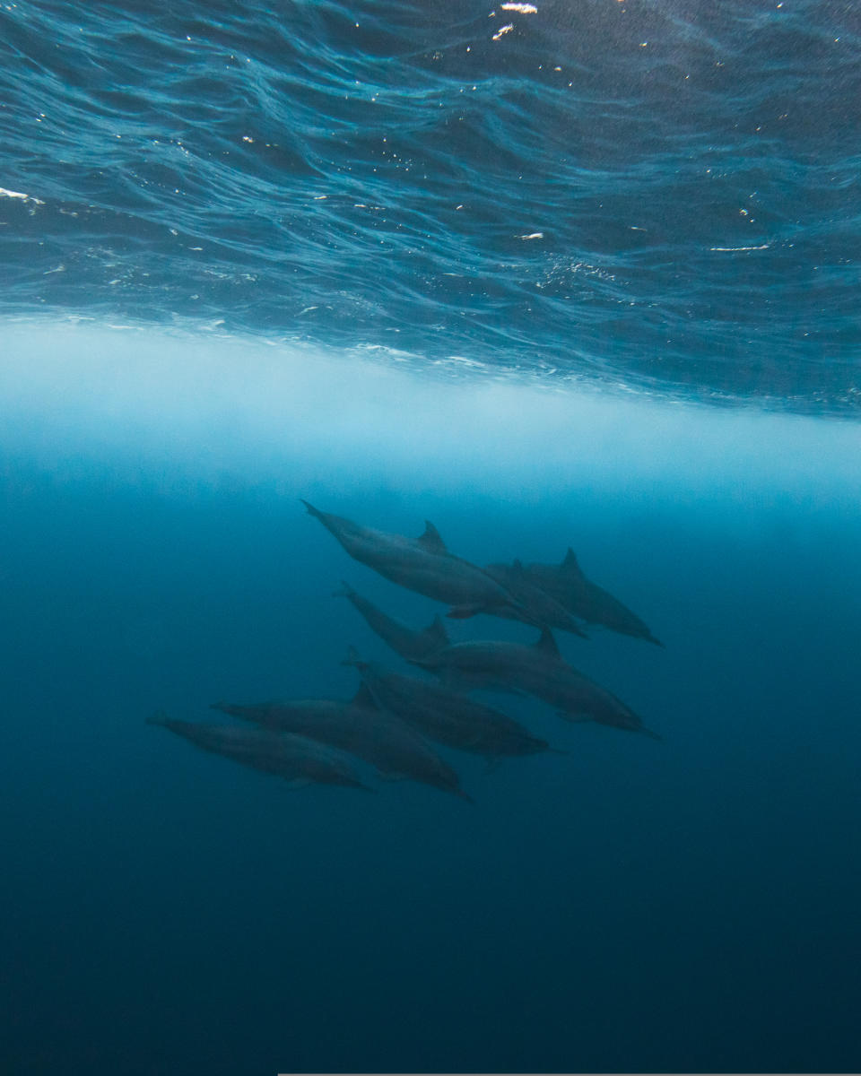 Guam Water Sports Fishing, Surfing, Snorkeling, and Diving