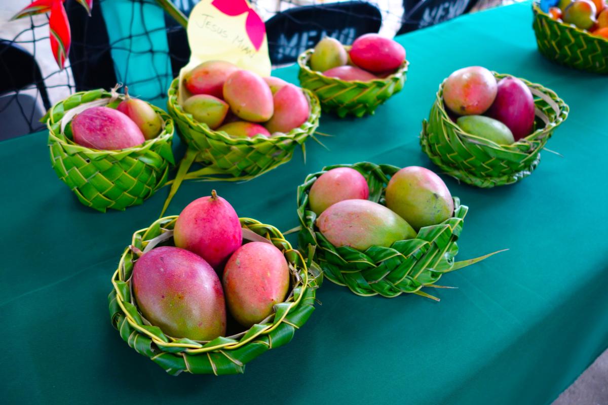 Mango Festival