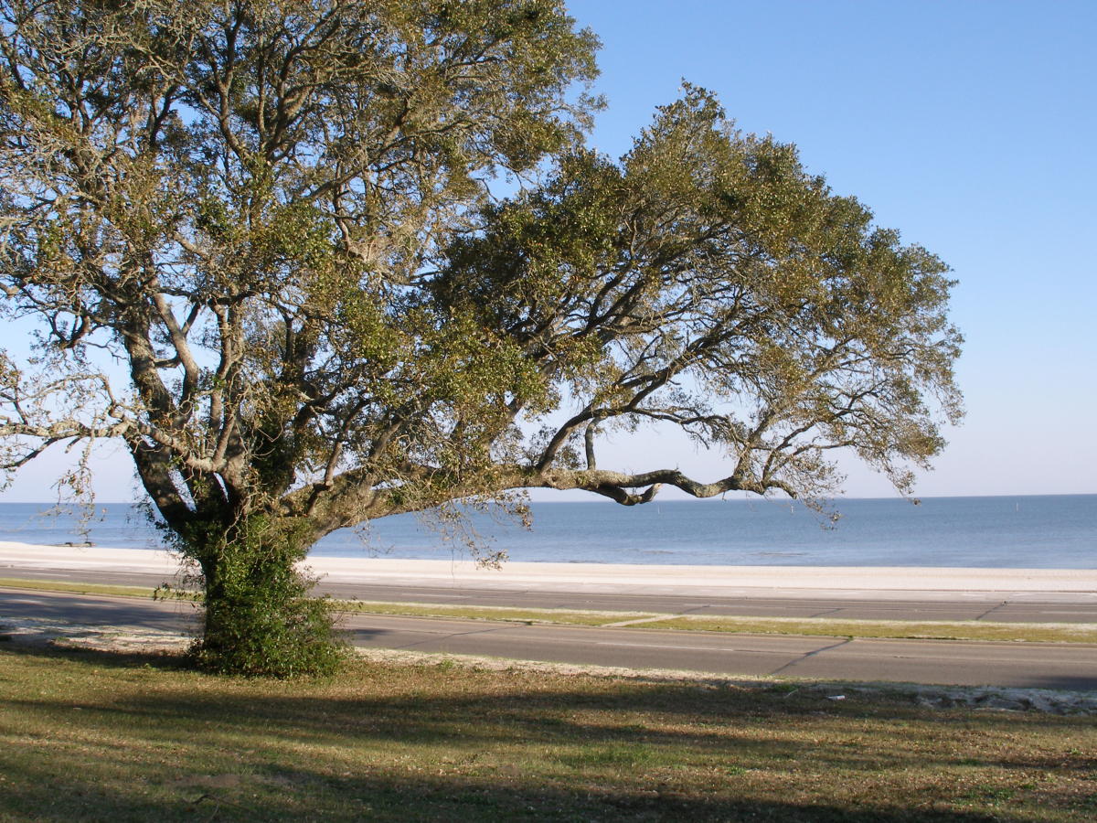 Things to Do in Pass Christian MS Gulf Coast Attractions