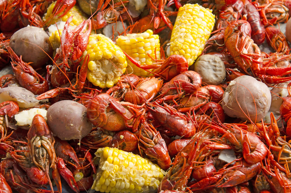 The Ultimate Guide to the Crawfish Music Festival