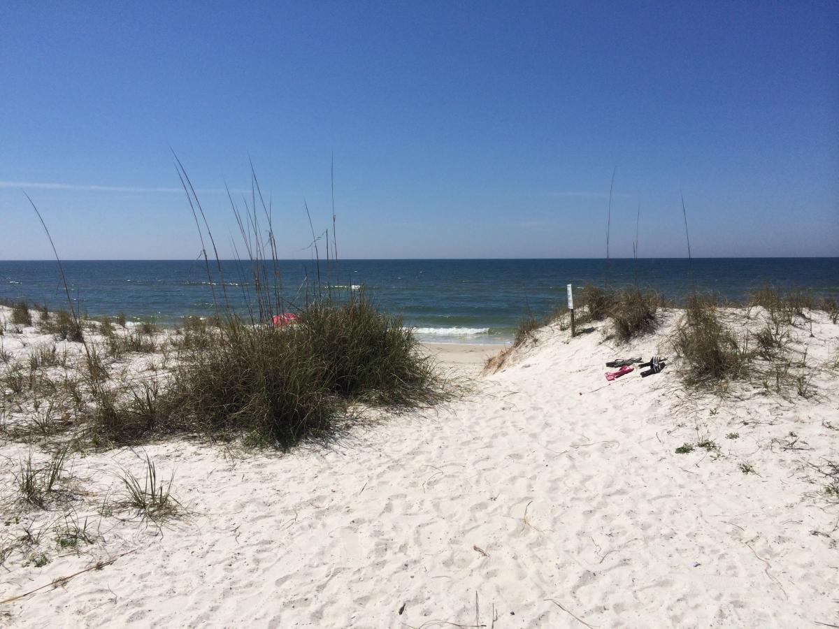 Edisto Beach Public Access Map Beach Access Map | Gulf County