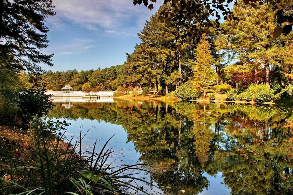 Explore Gwinnett Best Gwinnett Spots for Engagement Photos