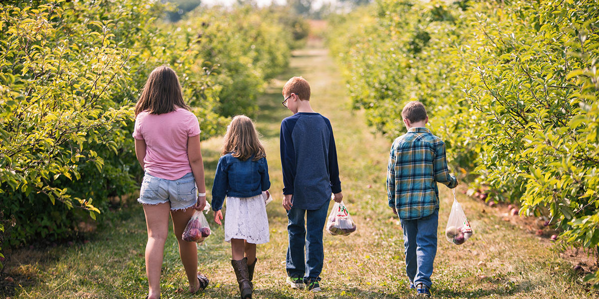 Arcadia, Atlanta, Cicero & Sheridan in Hamilton County, Indiana