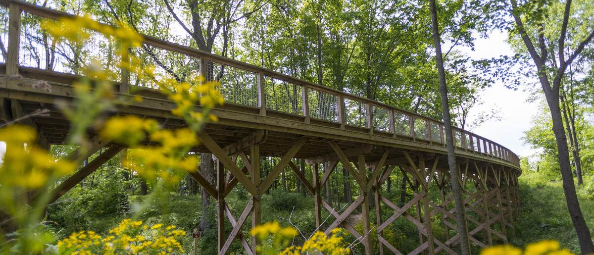 Things To Do Attractions Shopping In Hamilton County