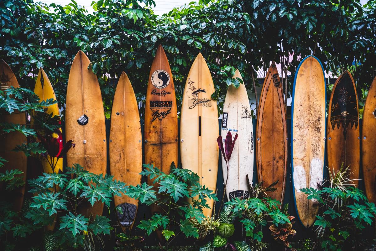 Hvcb Hawaii Visitors and Convention Bureau