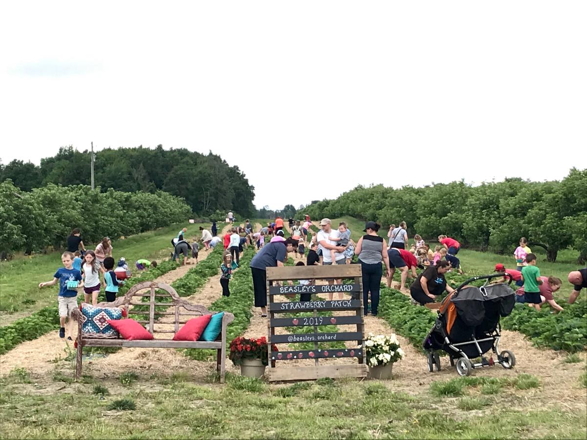 Beasley's Orchard Offers Summer Produce, Fun