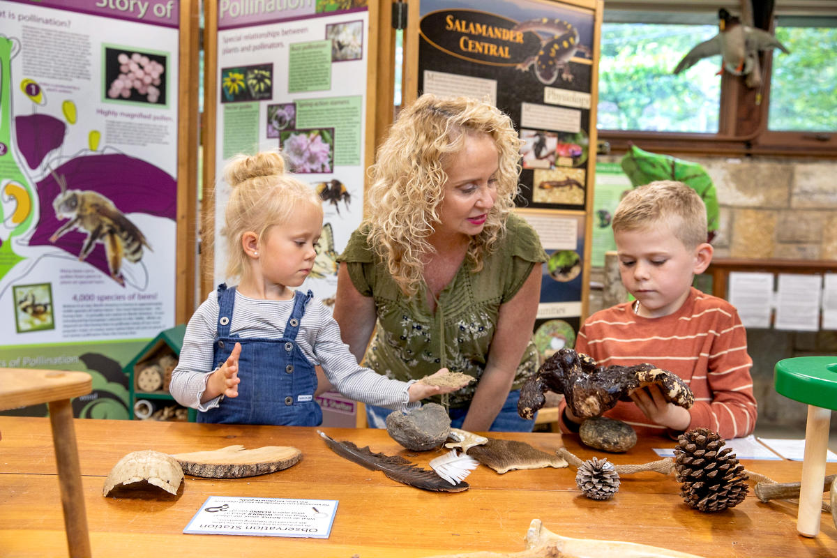 Family Fun - Highlands Chamber of Commerce