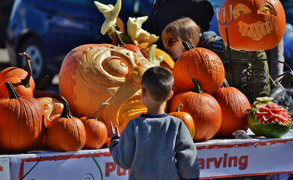 10 Things to Know About Visiting Holland, Michigan in the Fall