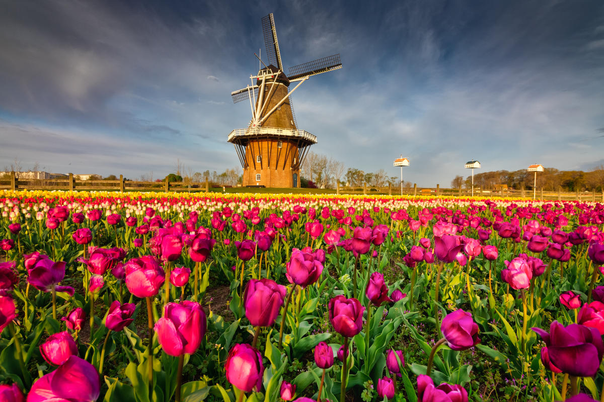 #discoverholland Holland org