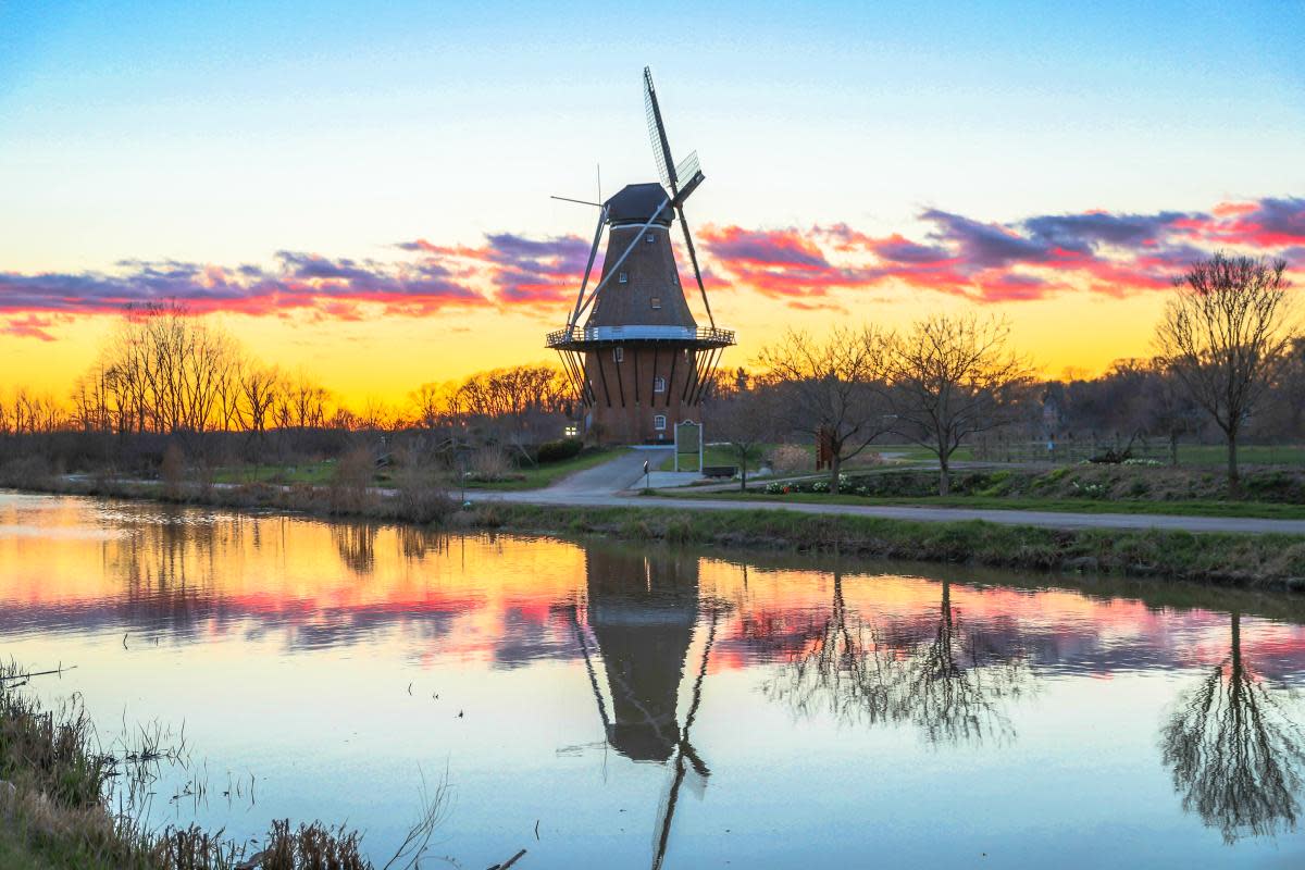 Harvest Holland This Fall