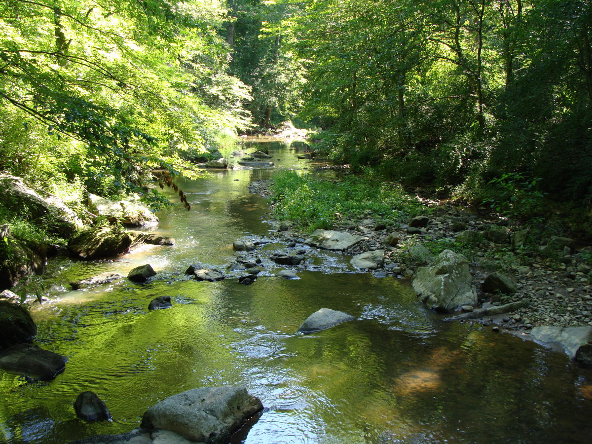Embark on the Patuxent Challenge Discover Maryland's Scenic Patuxent River