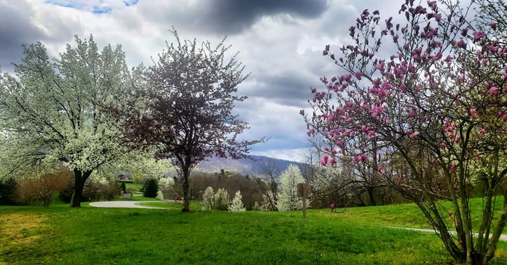 Get The Lay of the Land Raystown Recreation Areas