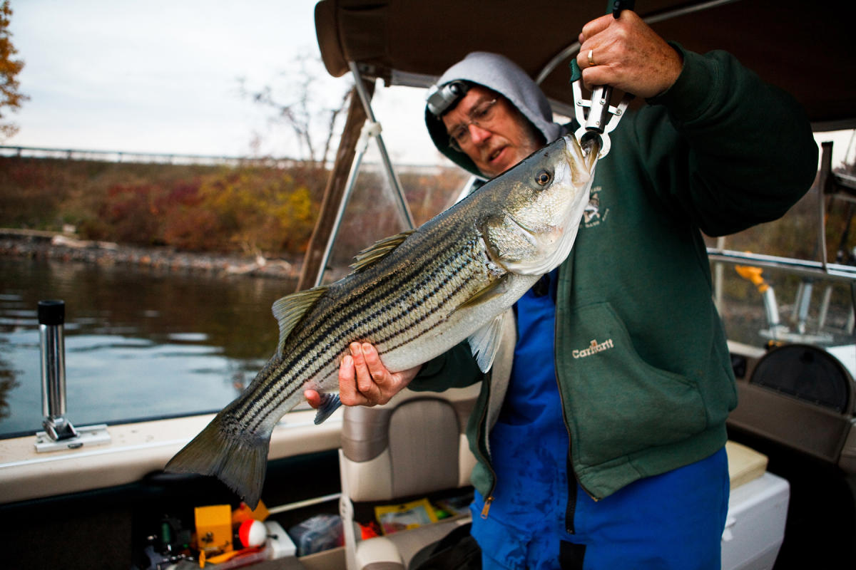 Fishing Raystown Lake