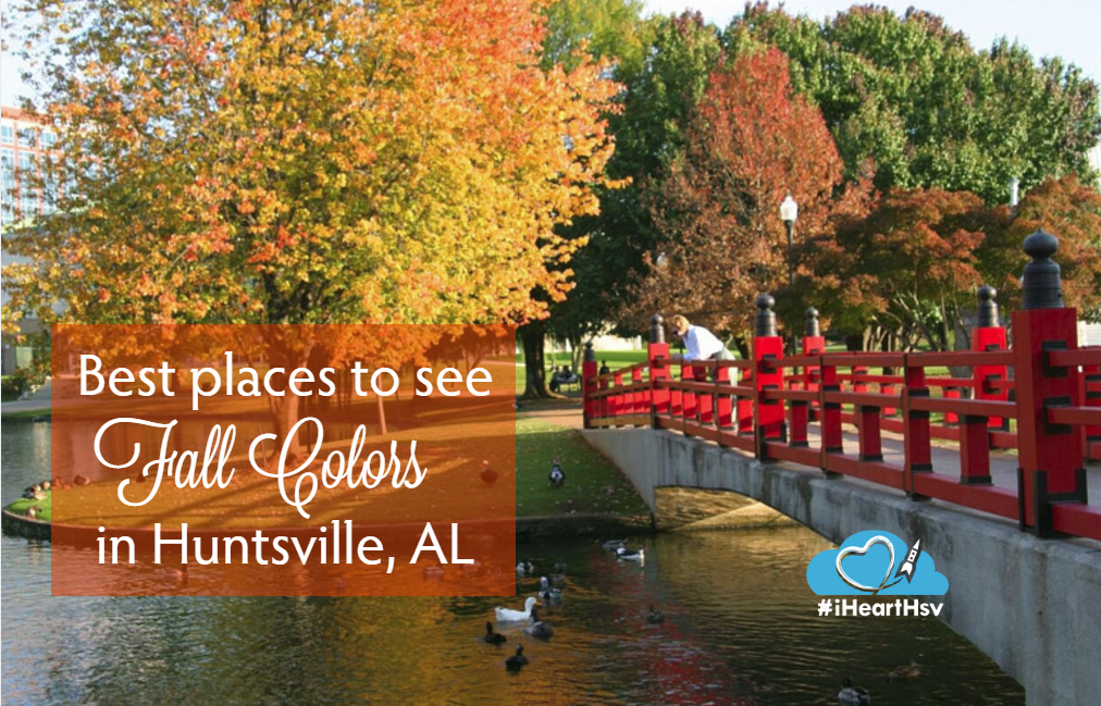 Best Places to See Fall Colors in Huntsville, Alabama