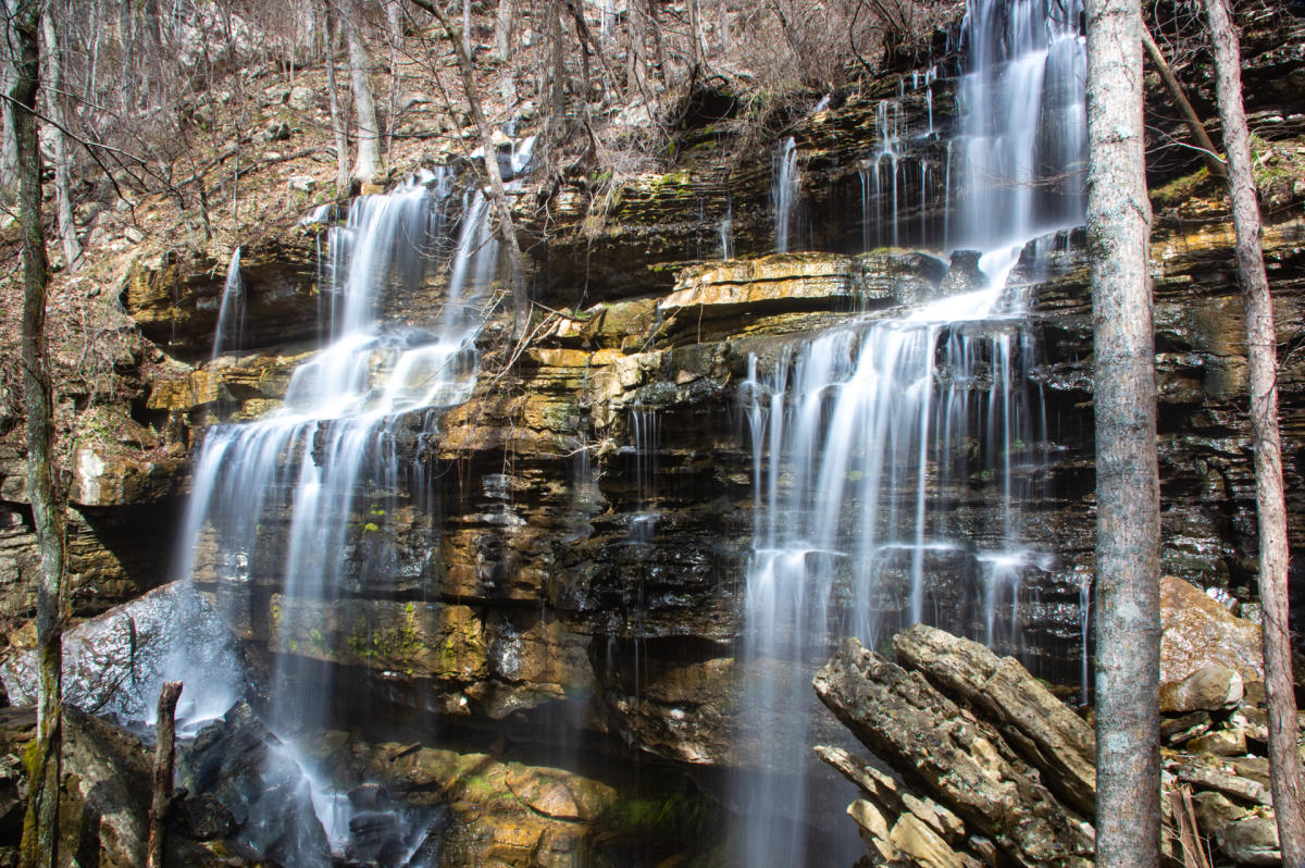 Discover Waterfalls at Bethel Spring Nature Preserve