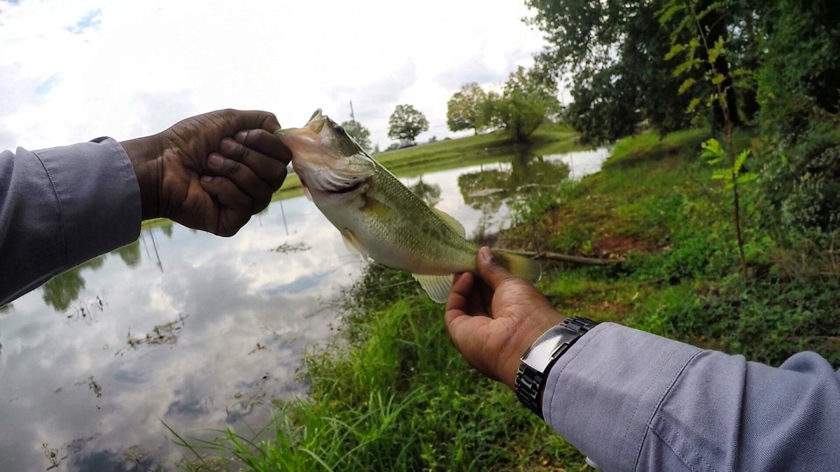 Like Shooting Fish with a Rocket The Best Places to Fish in Huntsville