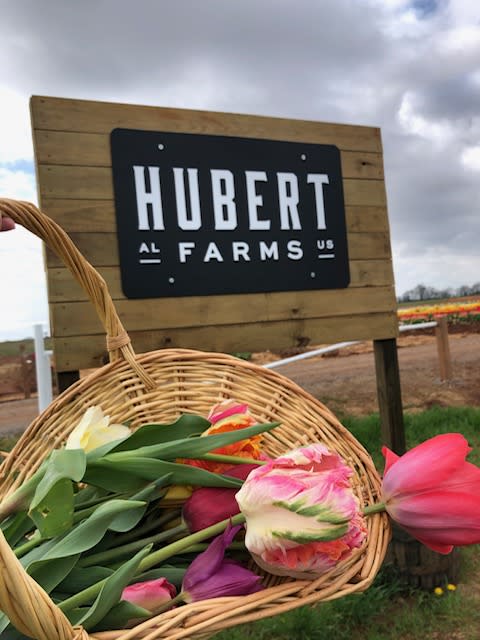Hubert Farms 2024 530bc0ee C794 42e0 904d E3836055d01d 