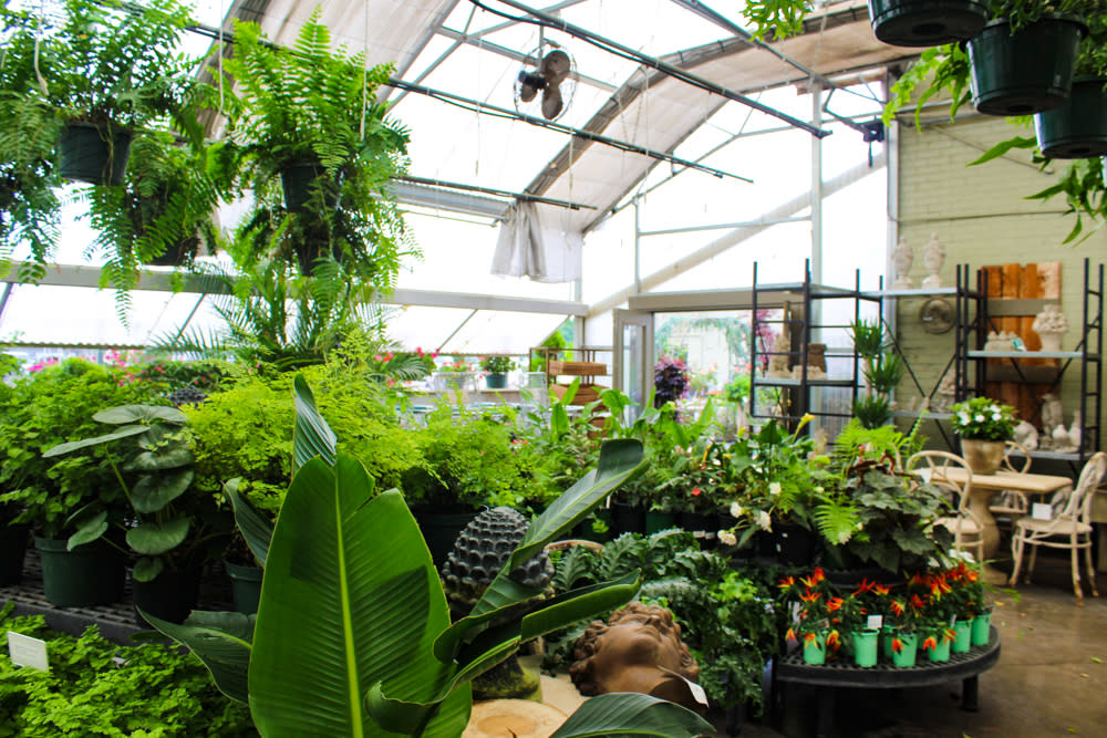 Where To Find Gorgeous Plants In Huntsville, Brooks And Collier Outdoor Furniture