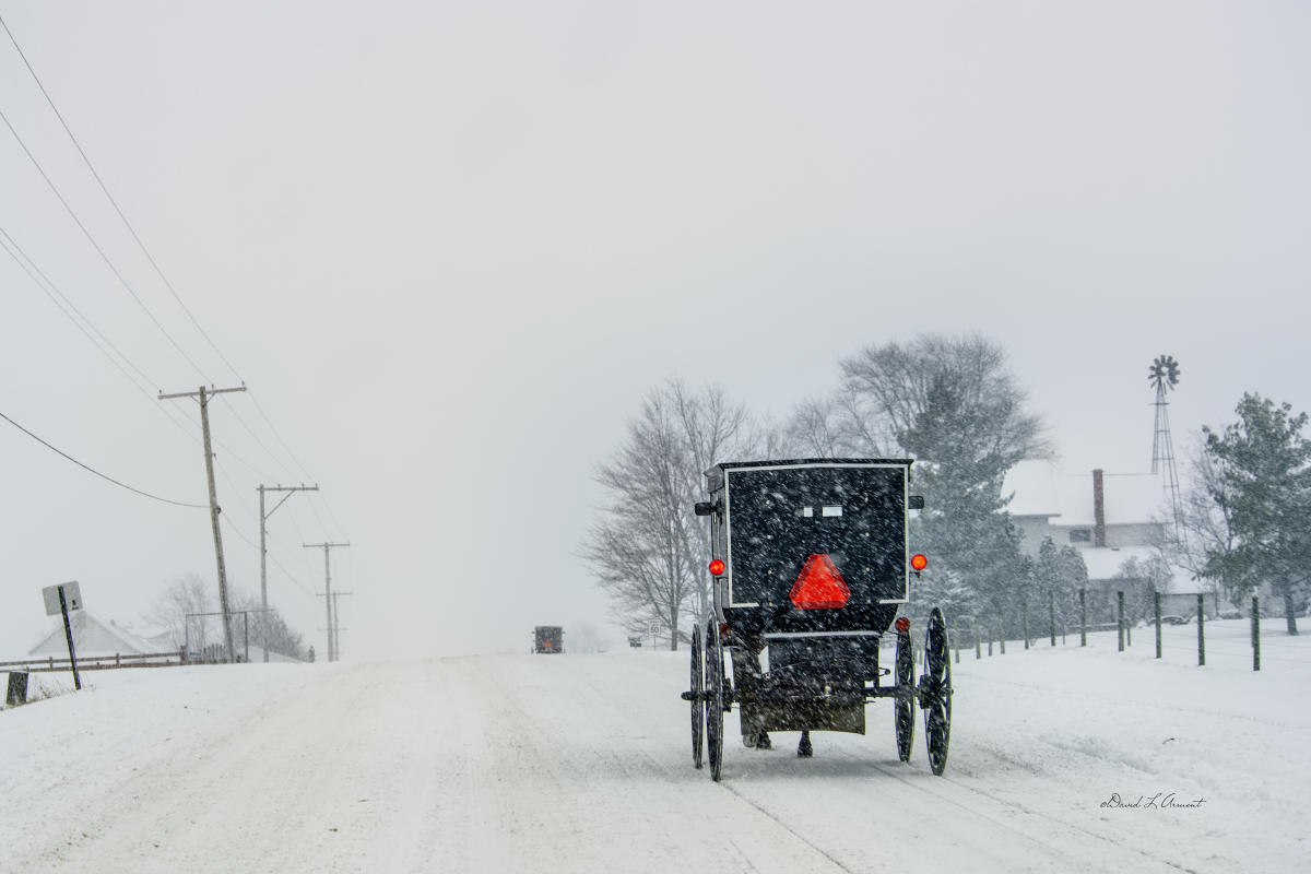 Live out your winter dreams. Explore #VisitShipshewana - Visit Indiana