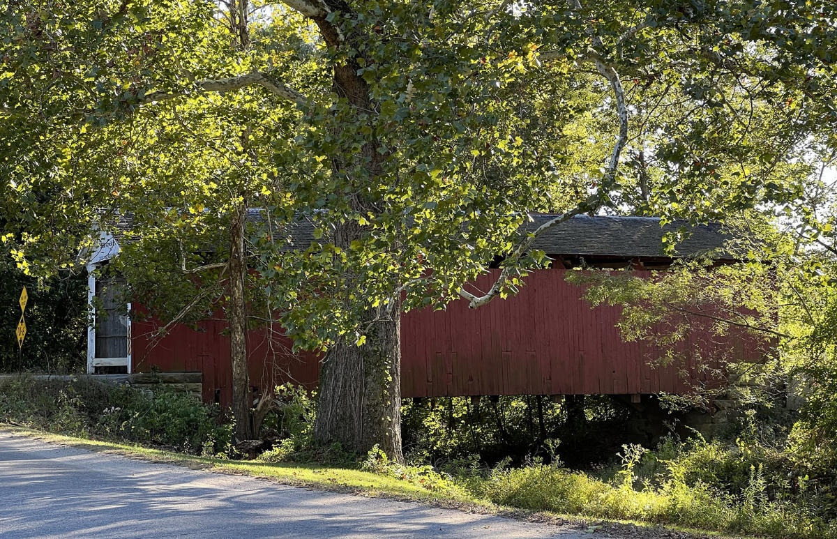 Eat at these Culinary Gems in Rosedale