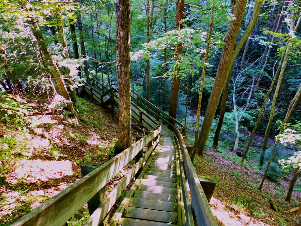 Conquer The Challenge: 6 Ravine Challenge at Shades State Park