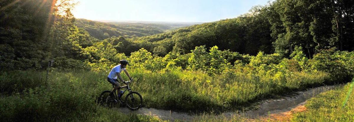 planning a trip to brown county indiana