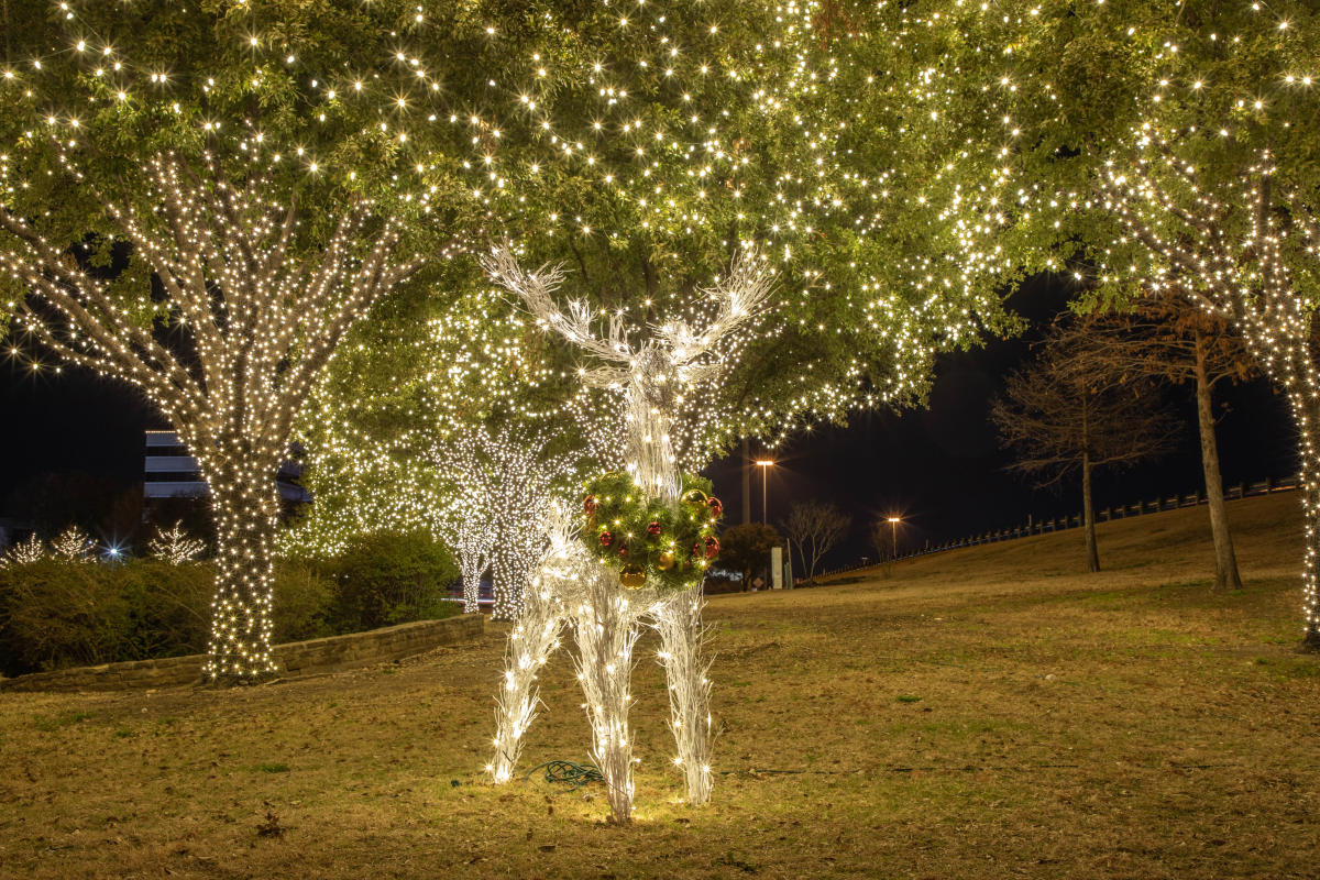Holiday Events In Irving Virtual Christmas Events