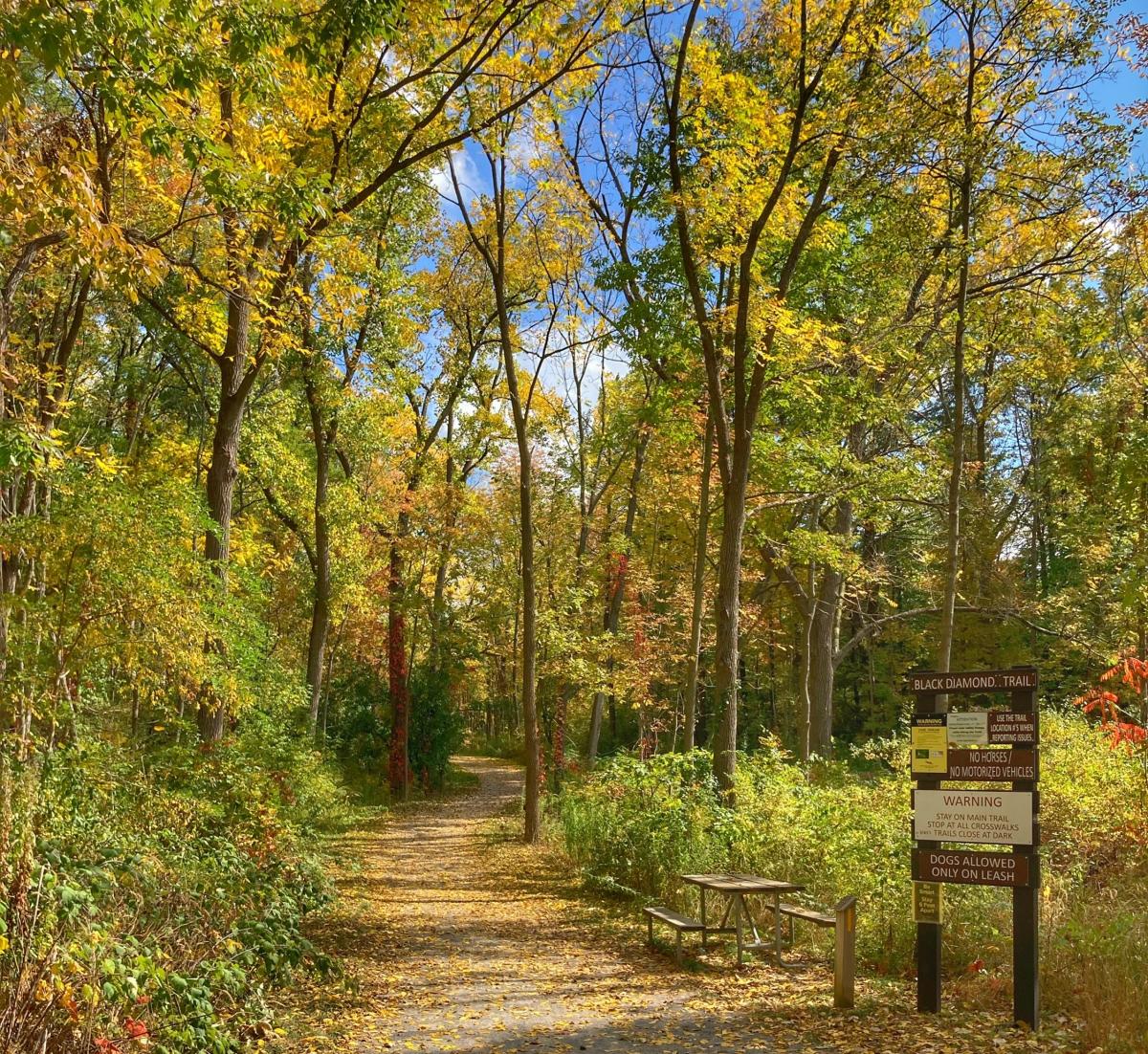 Camping in Ithaca Campgrounds, Farms & Safari Tents